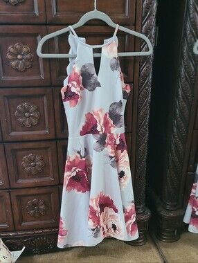 City Triangles LT Blue Floral Sleeveless A-Line Dress with Pink & White Blooms